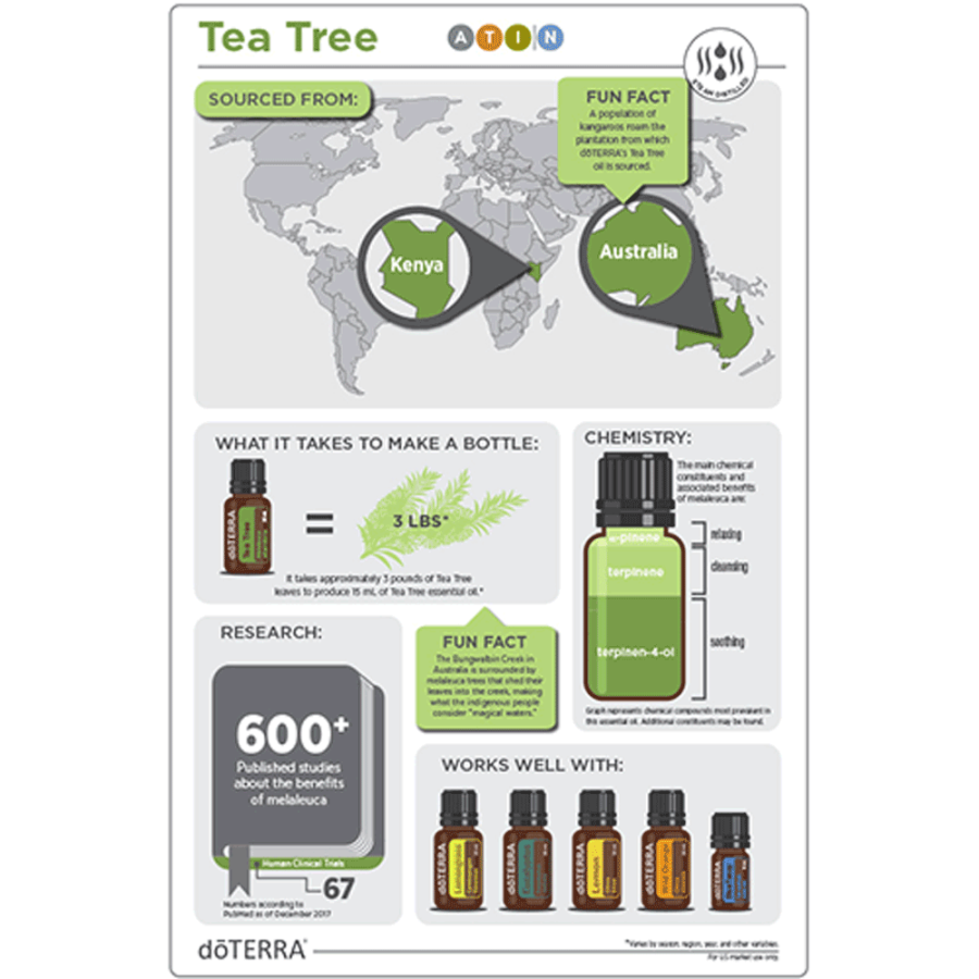 Ефірна олія Чайне Дерево dōTERRA концентрат 15 мл Tea Tree - Melaleuca alternifolia