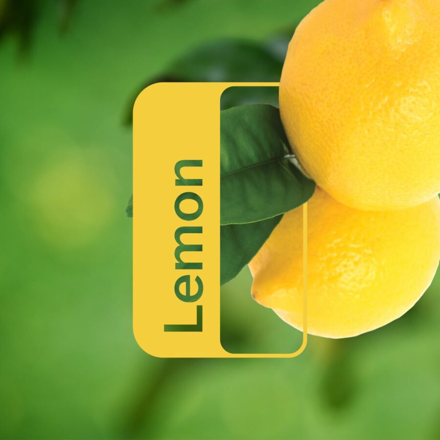 Ефірна олія Лимон dōTERRA концентрат 15 мл (Цитрусовий лимон) Lemon - Citrus limon