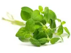 Ефірні олії doTerra