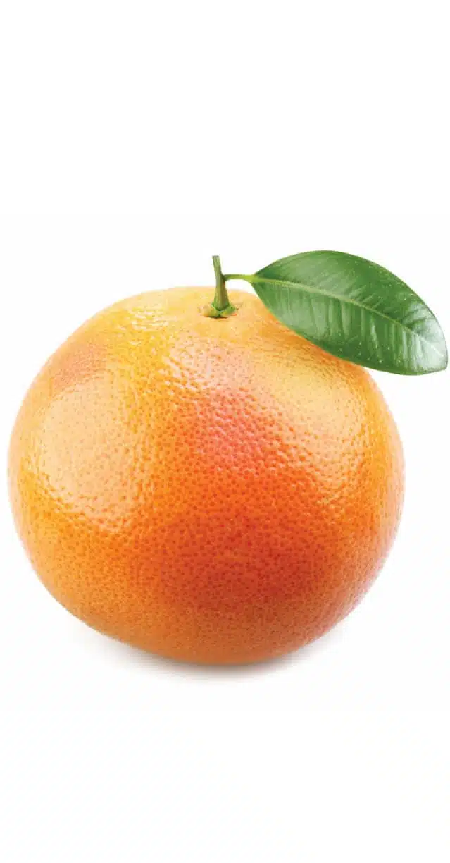 Ефірна олія Грейпфрут dōTERRA концентрат 15 мл Grapefruit - Citrus X paradisi