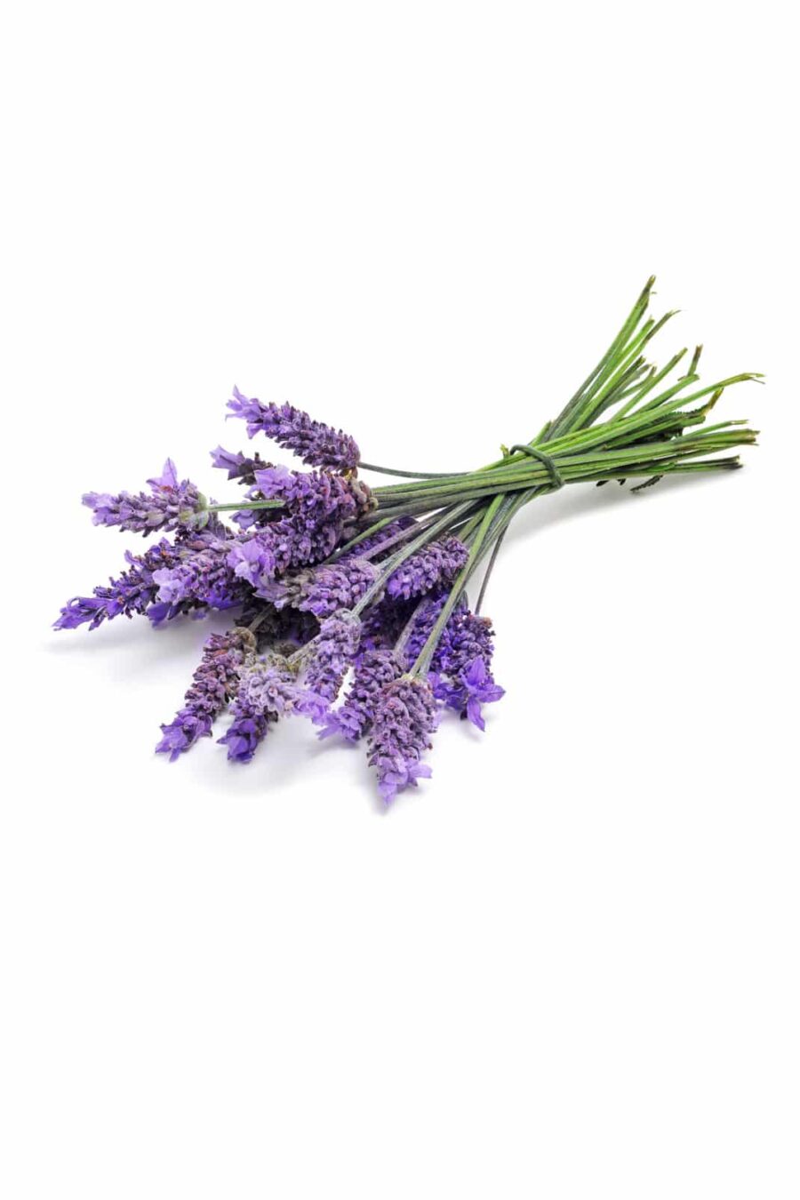 Ефірна олія Лаванда dōTERRA в ролері 10 мл Lavender Touch - Lavandula angustifolia