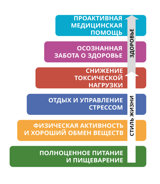 ecoline-pyramid-ru